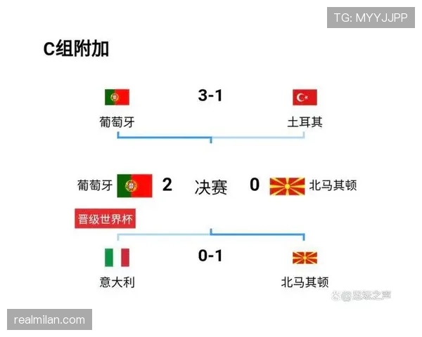 葡萄牙世界杯战术体系深度解析